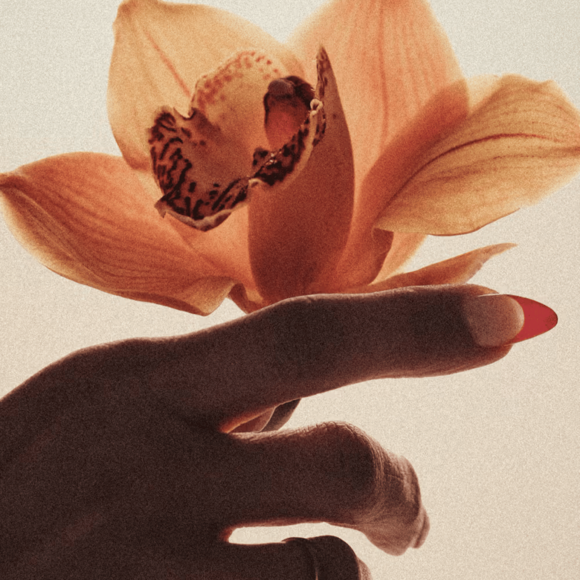 Alternate Image of Brown Flowers EDP