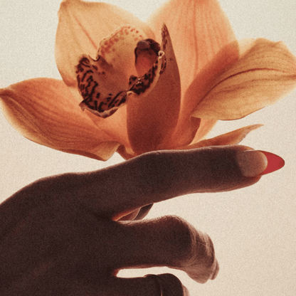 Alternate Image of Brown Flowers EDP
