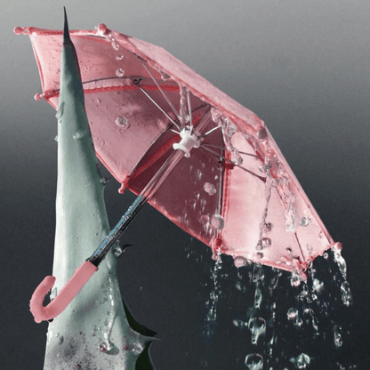 Alternate Image of Jalisco Rain Candle