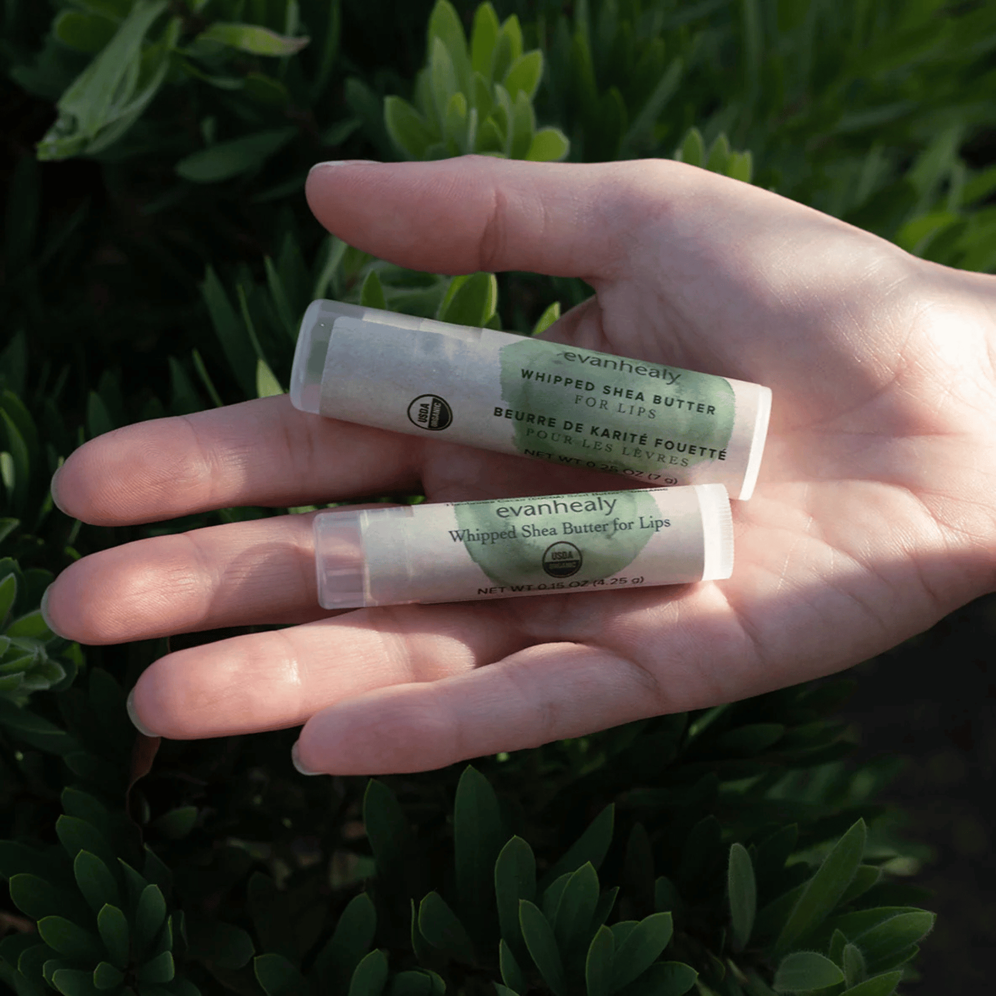 Alternate Image of Whipped Shea Butter Lip Balm, lip balm tube with green and beige label
