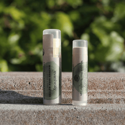 Alternate Image of Whipped Shea Butter Lip Balm, lip balm tube with green and beige label