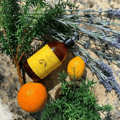 Alternate Image of Botanical Hand & Body Liquid Soap