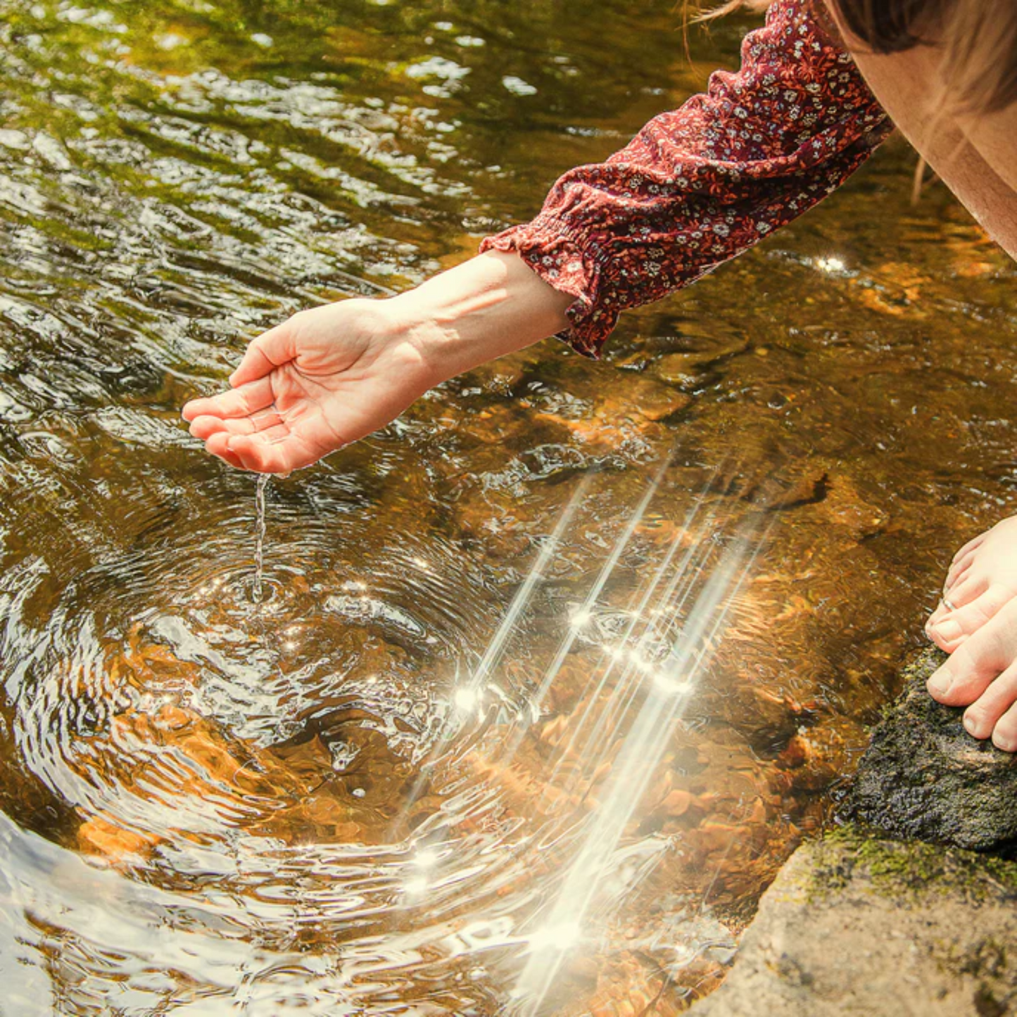 alternative image of gaia liver cleanse 