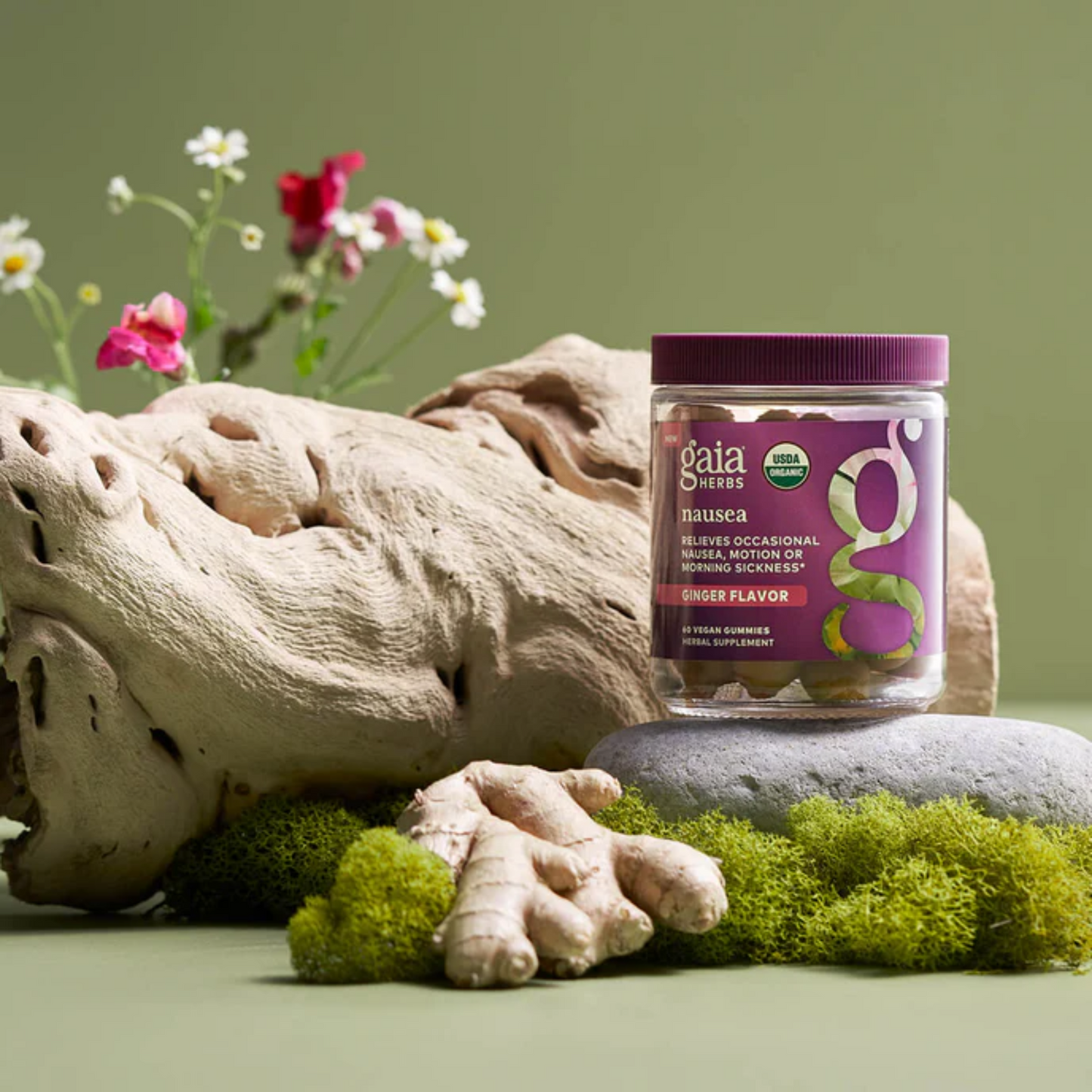 alternate image of gaia nausea gummies