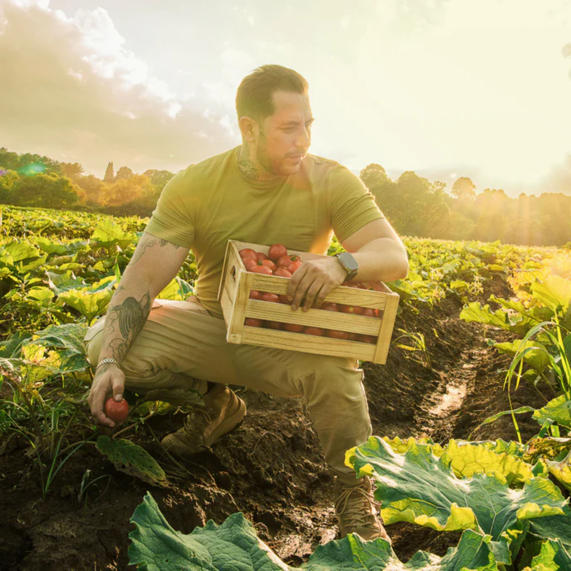 alternate image of gaia tumeric supreme