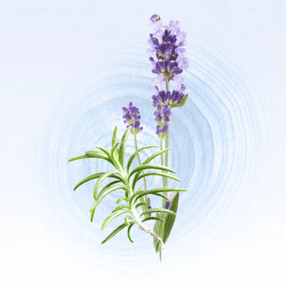 Alternate image of Glasshouse Diving Into Cyprus EDP (0.47 fl oz)