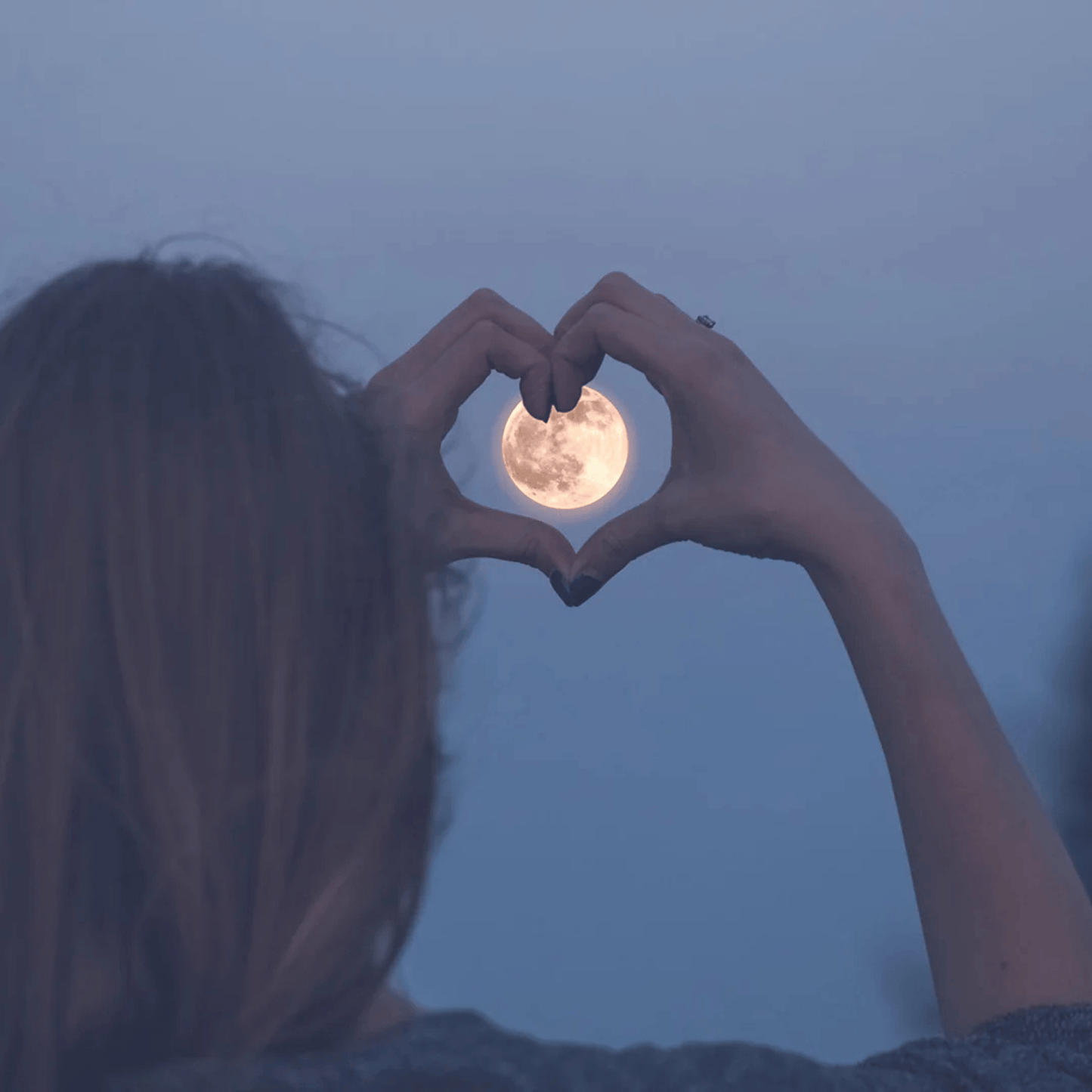 Alternate image of Glasshouse Moon & Back