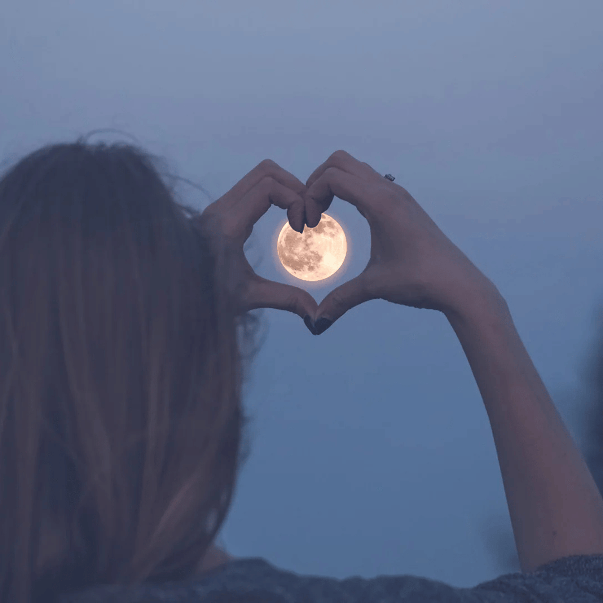 Alternate image of Glasshouse Moon & Back