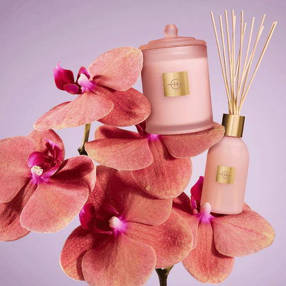 Alternate Image of Radiance In Bloom Diffuser, pink candle and diffuser