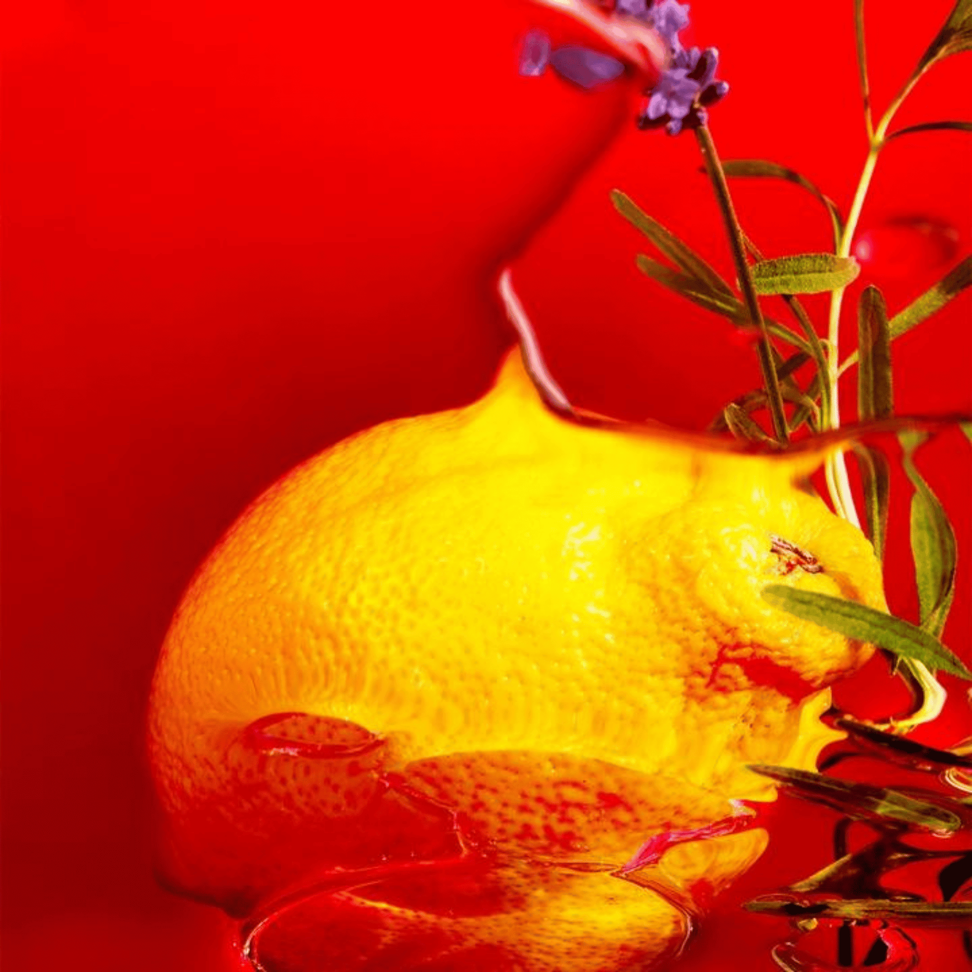 Alternate Image of Jean Marie Farina Perfumed Soap