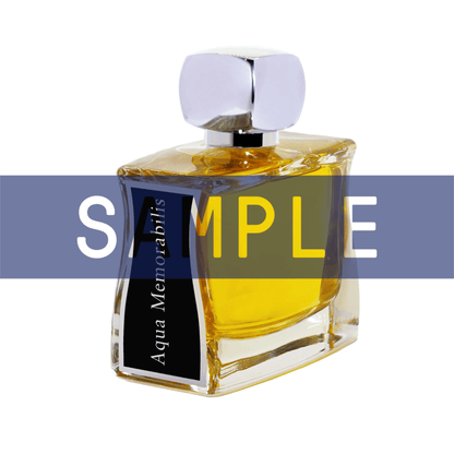 Primary Image of Sample - Aqua Memorabilis EDP 100 ml, perfume bottle with silver lid