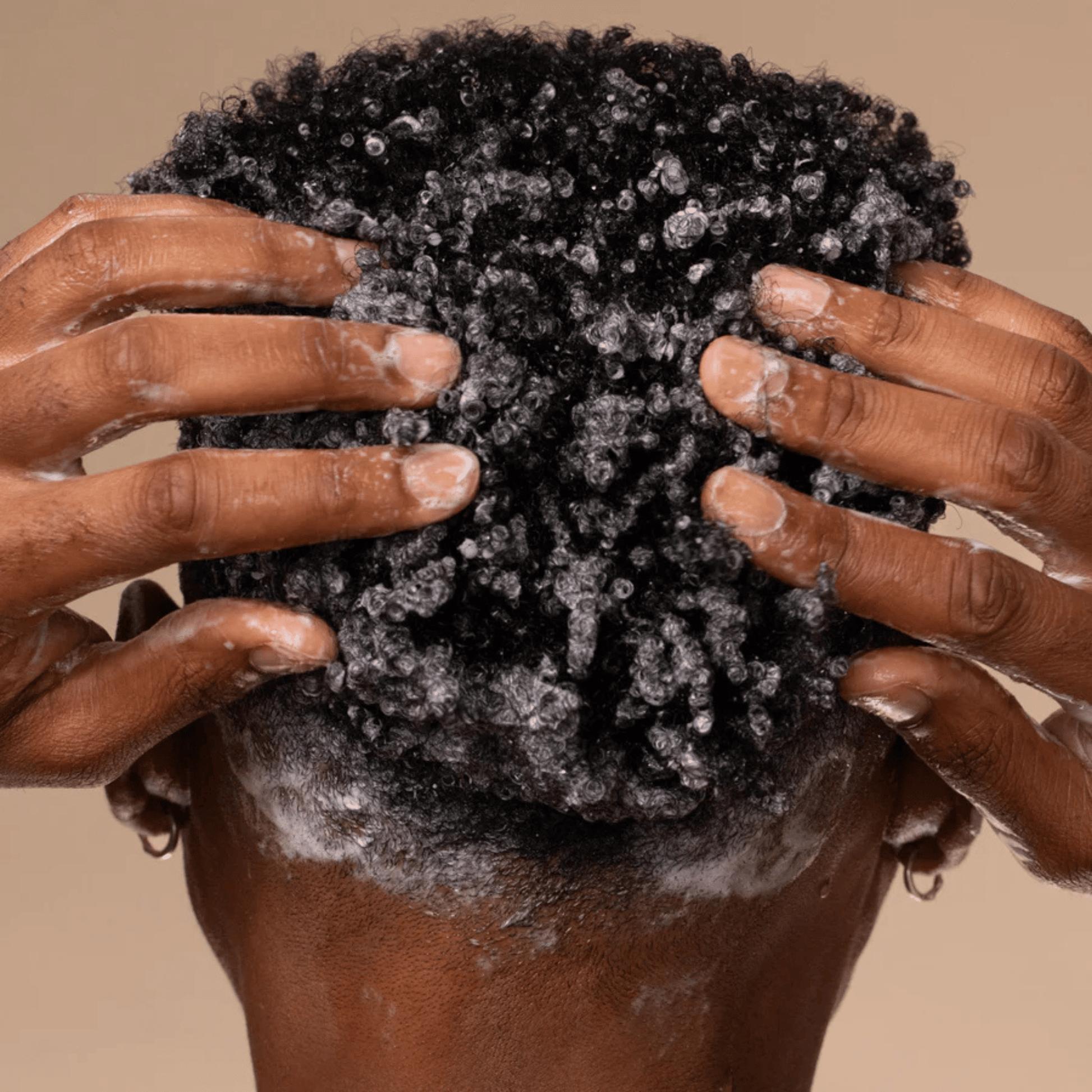 Alternate Image of Moisturizing Coconut Oil Shampoo, product in hair
