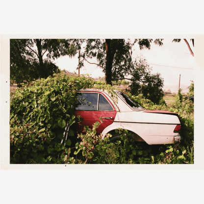Alternate Image of Voyeur Verde EDP