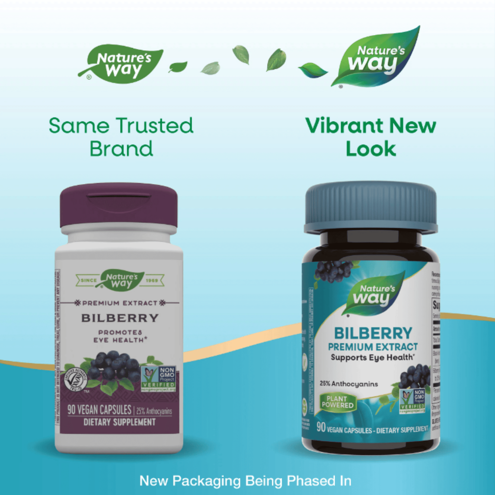 Alternate Image of Standardized Bilberry