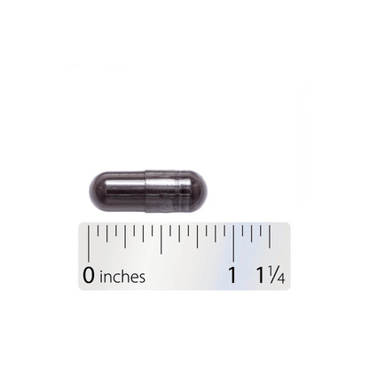 Alternate Image of Black Walnut Hulls