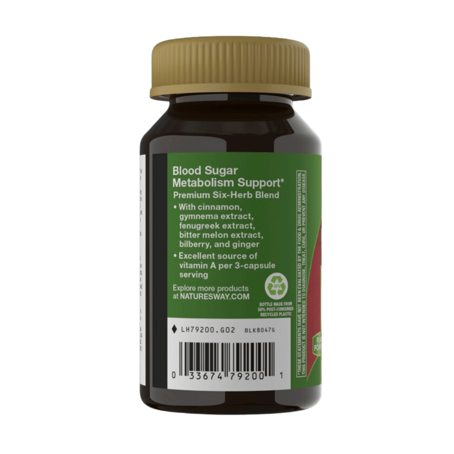 Alternate Image of Blood Sugar Support