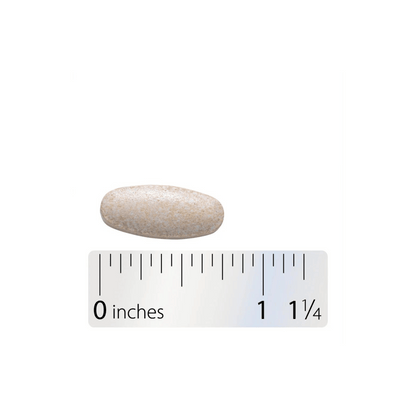 Alternate Image of Boswellia Premium Extract 