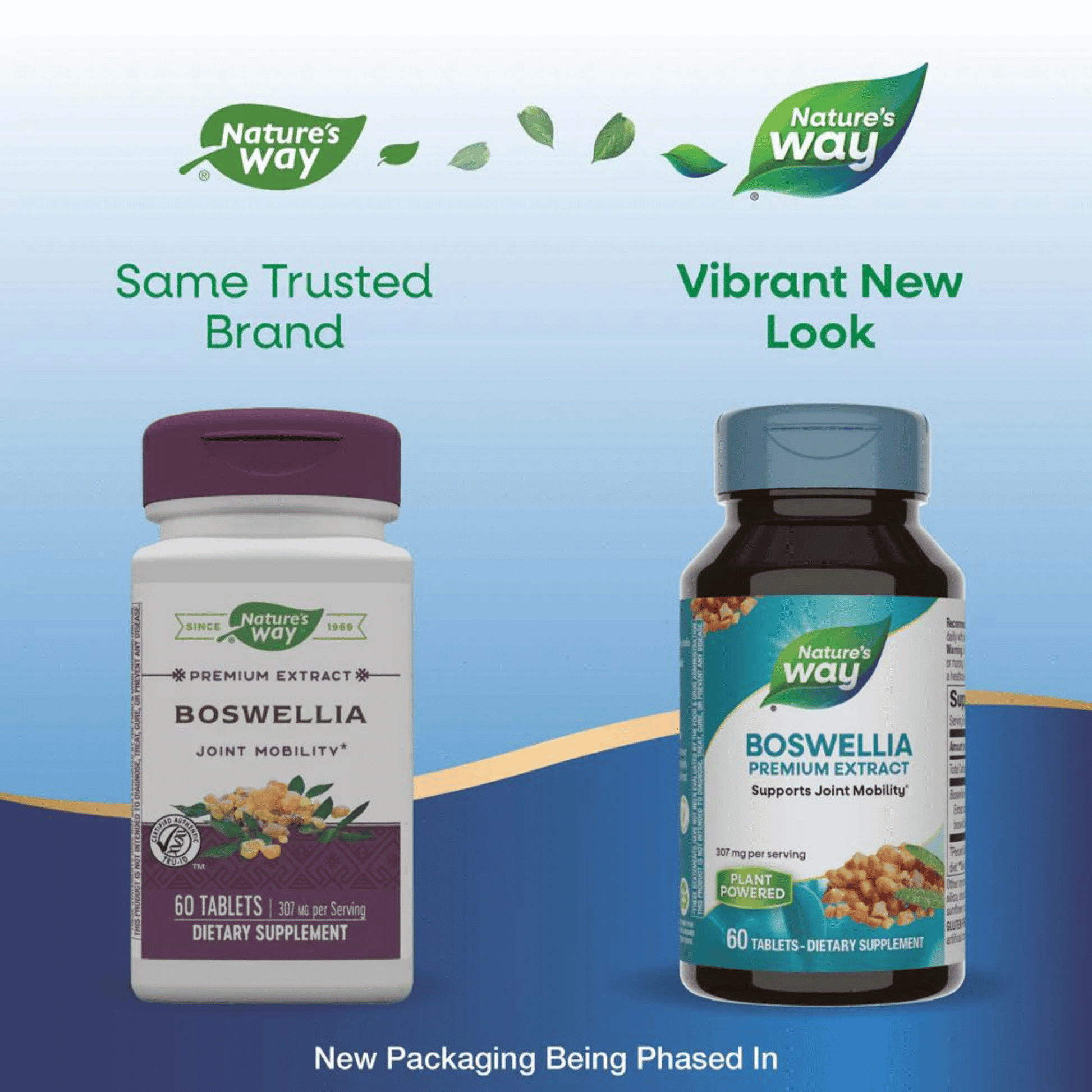 Alternate Image of Boswellia Premium Extract 