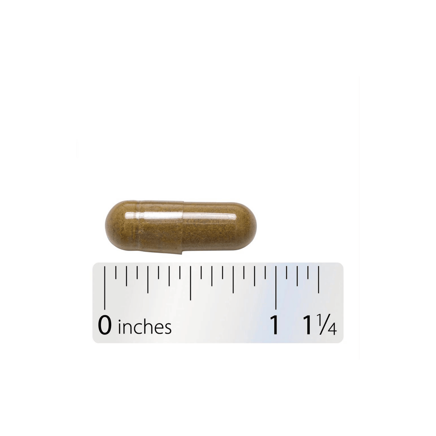Alternate Image of  Golden Seal Root