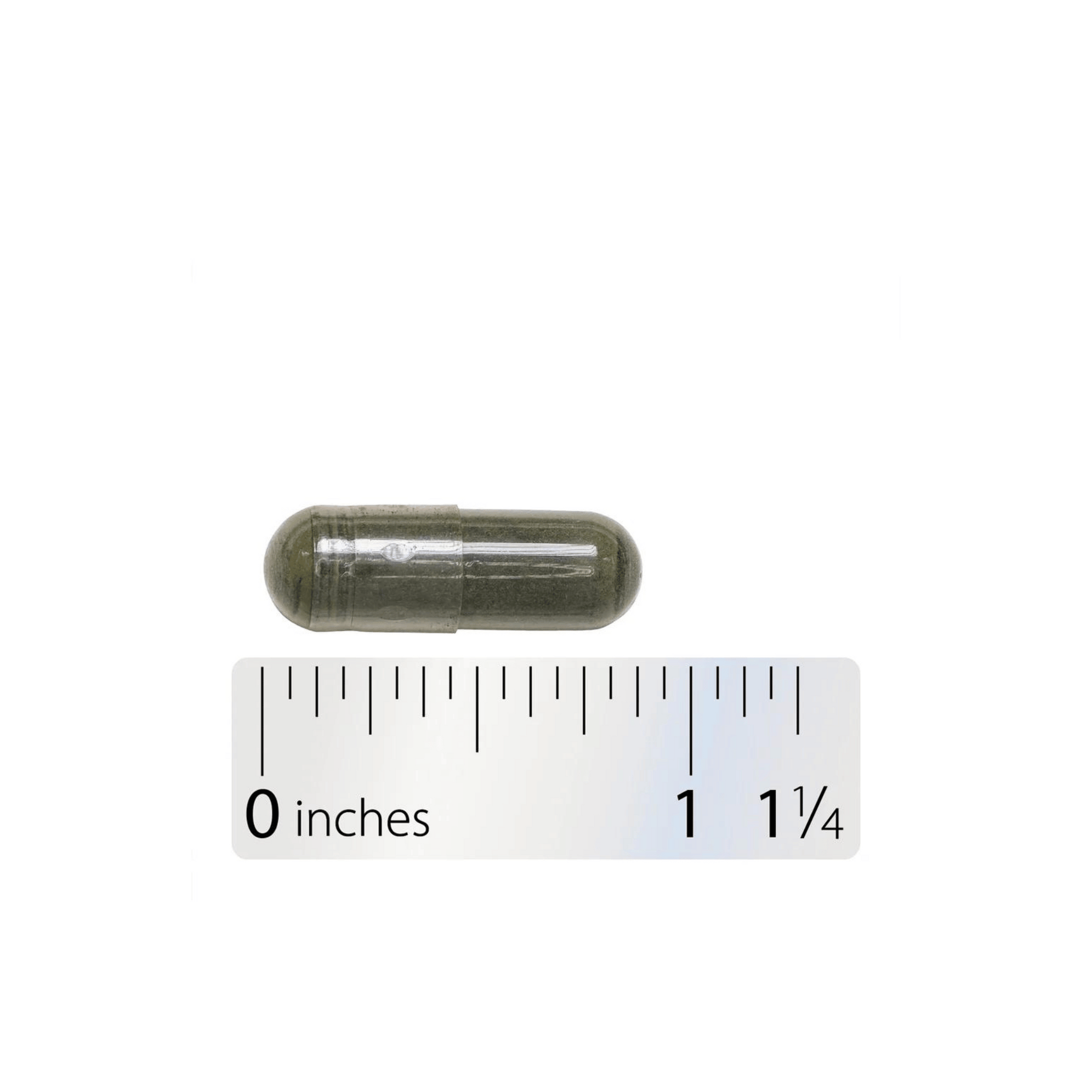Alternate Image of Nettle Leaf
