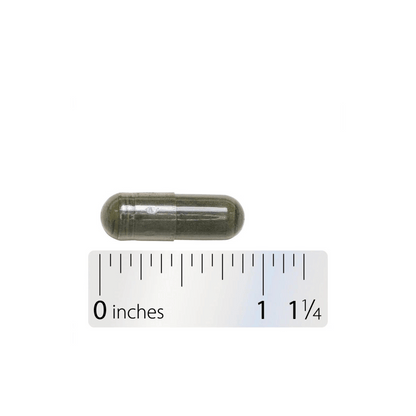 Alternate Image of Nettle Leaf