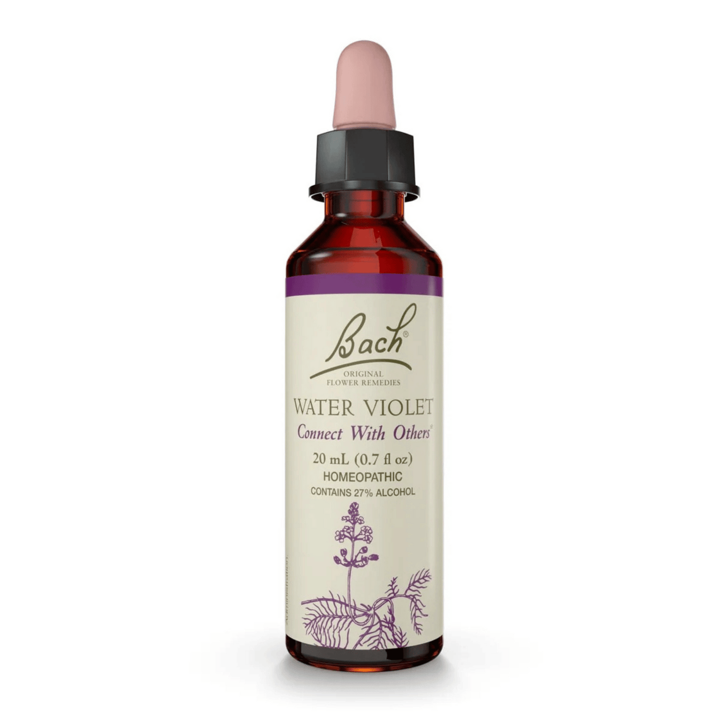 Primary Image of Water Violet