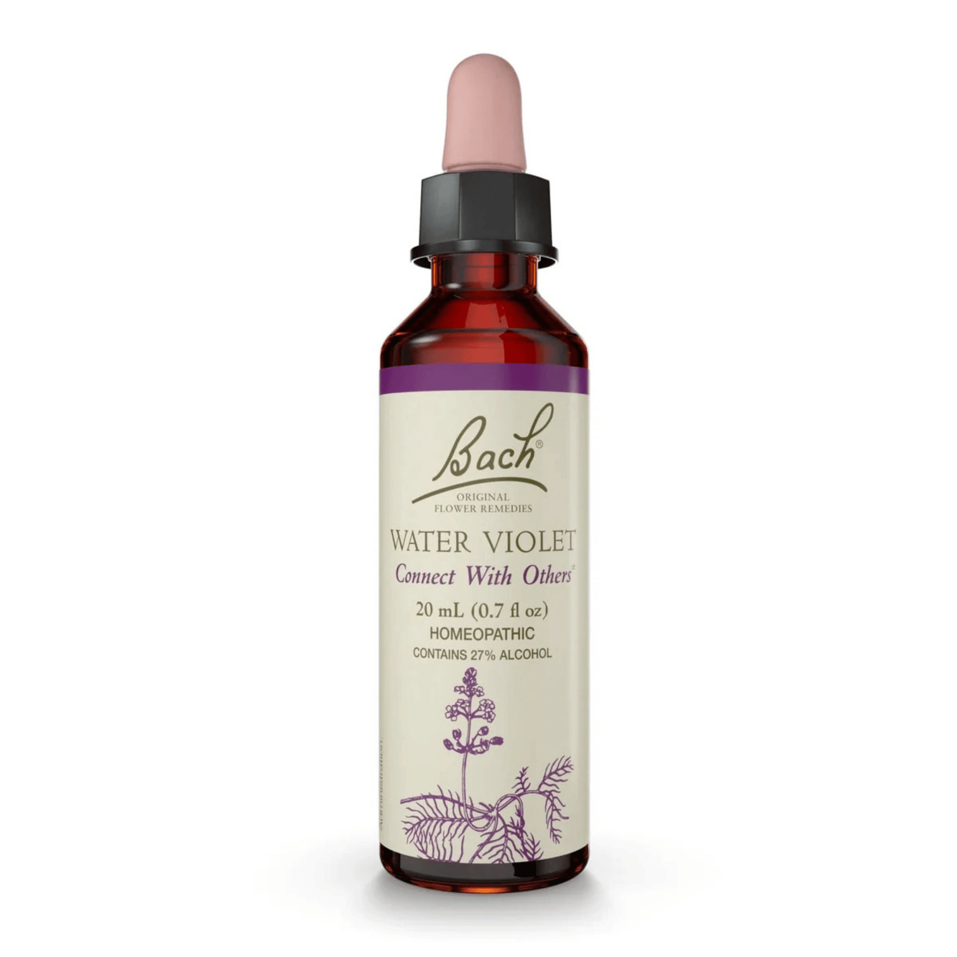 Primary Image of Water Violet