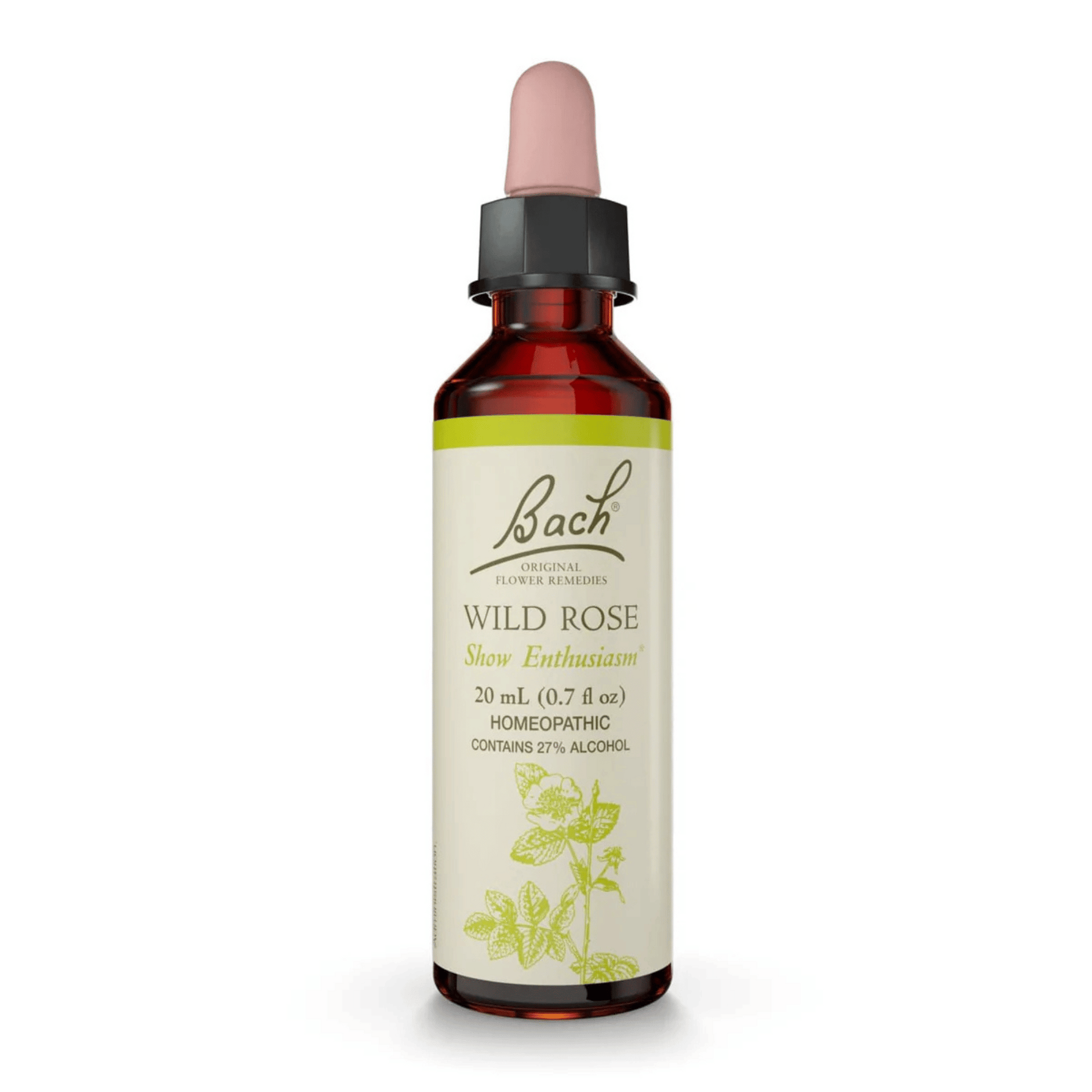 Primary Image of Wild Rose