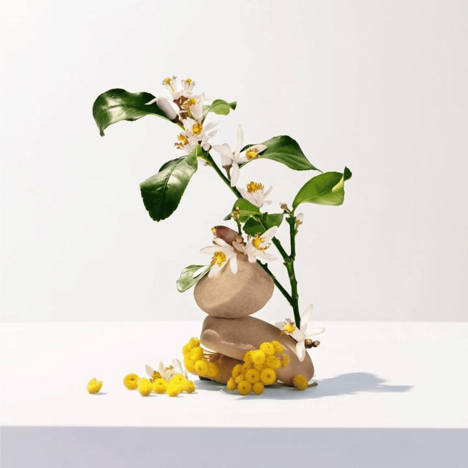 Alternate Image of Neroli Wellbeing Soap
