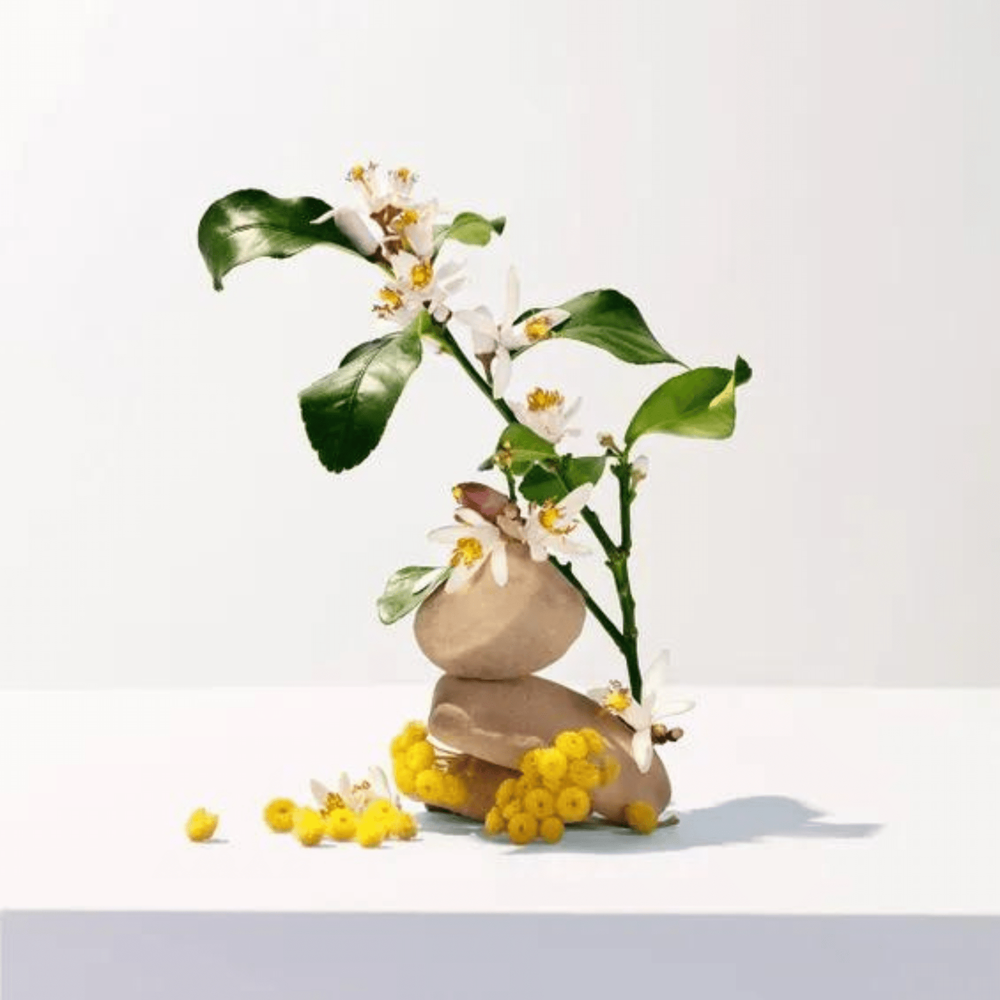Alternate Image of Neroli Shower Gel