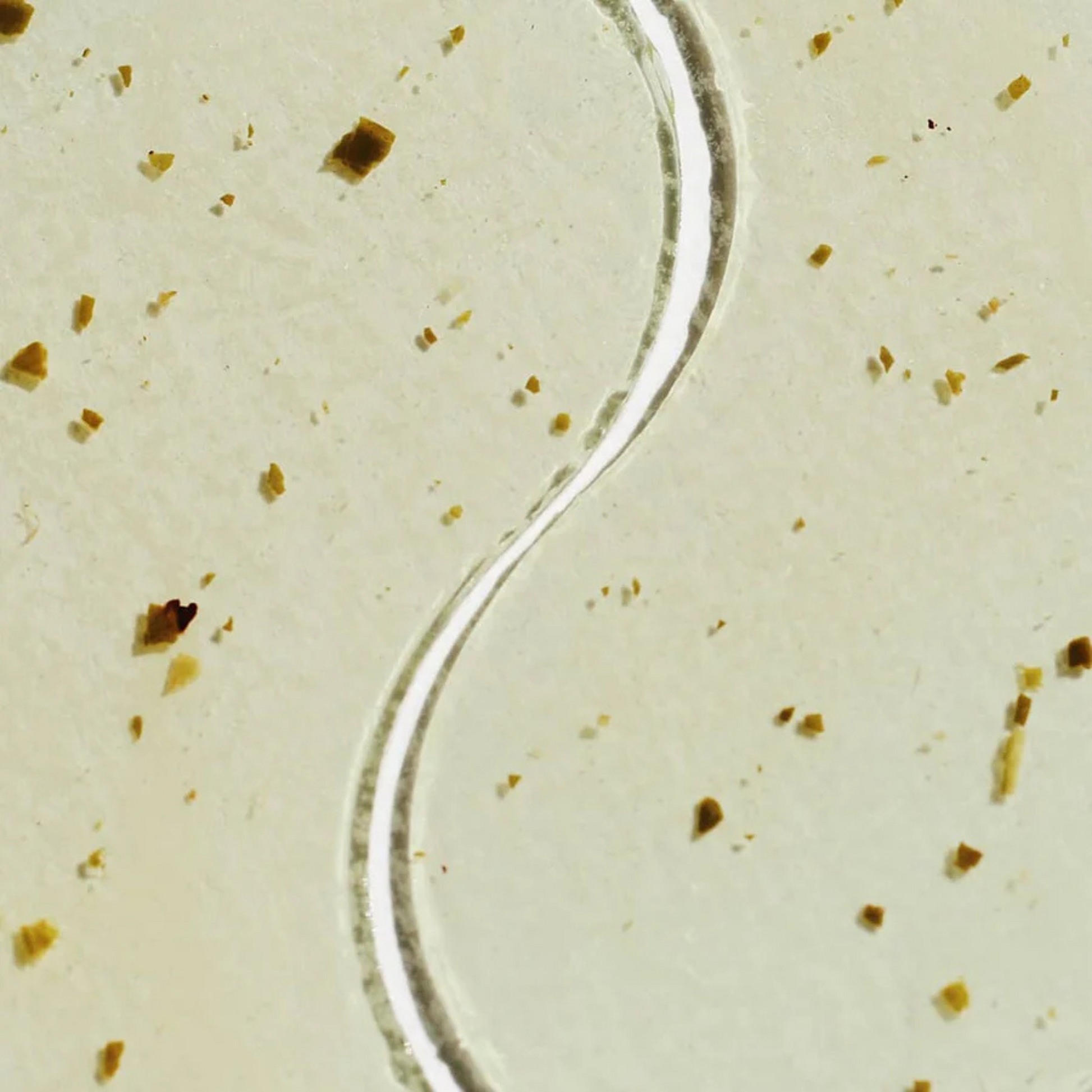 alternate image of patchology moodpatch perk up gels
