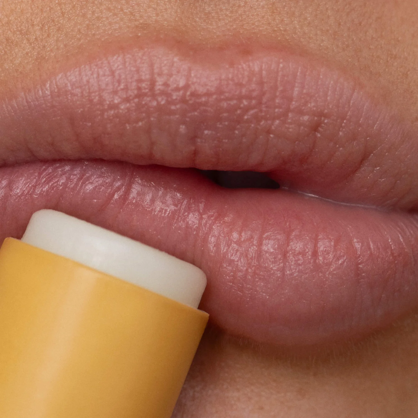 Alternative Image of Poppy&Pout Lemon Lip Balm