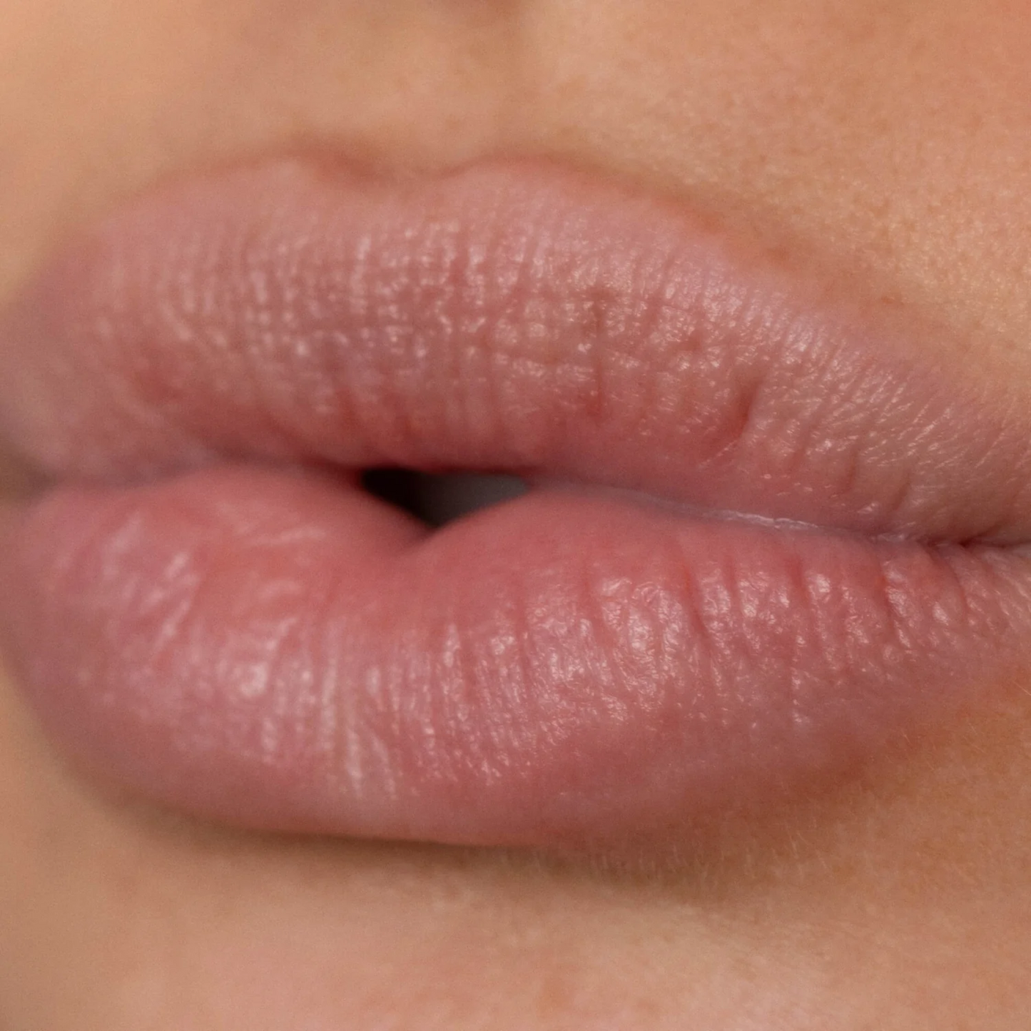 Alternative Image of Poppy & Pout Pomegranate Peach Lip Balm