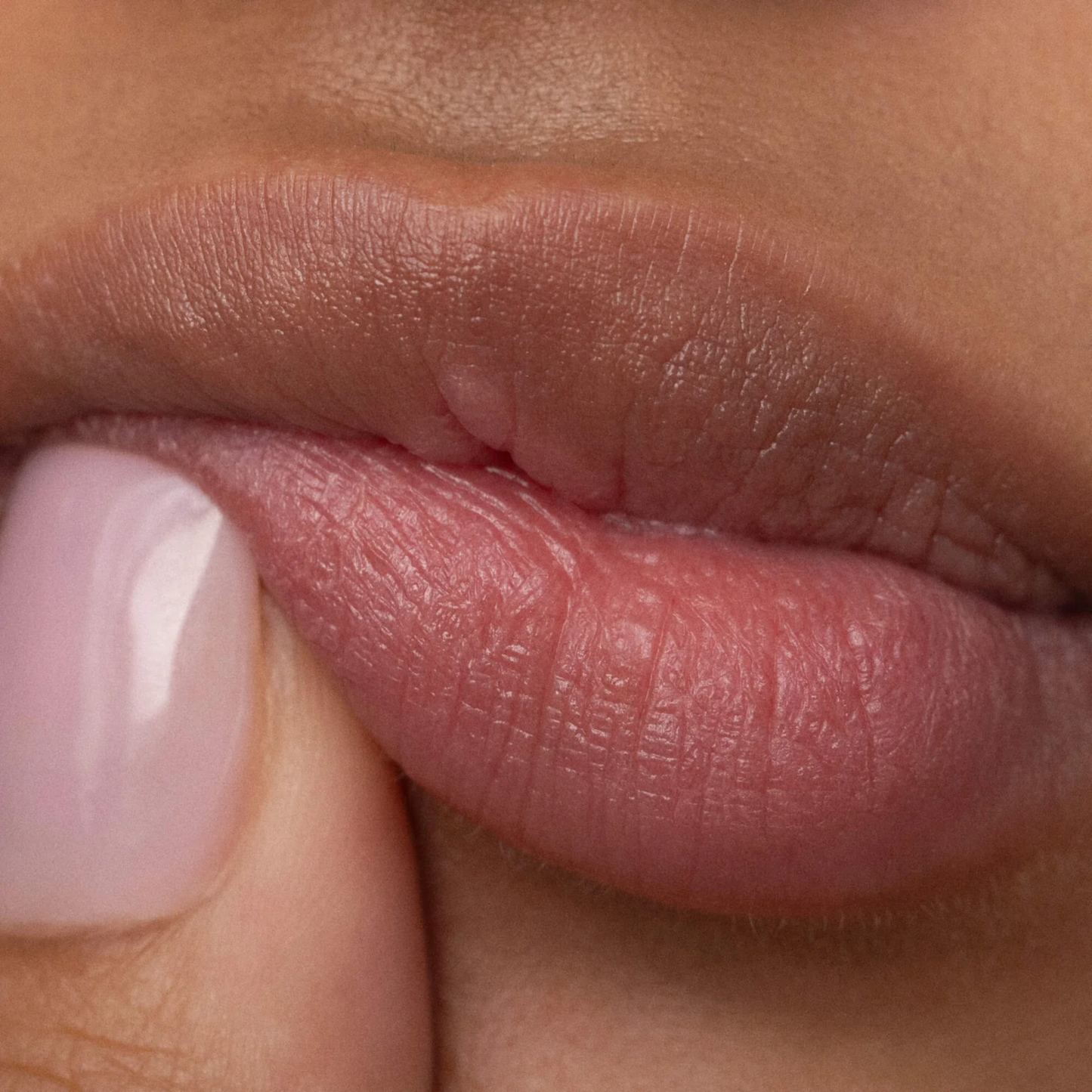 Alternate Image of Poppy and Pout Sweet Mint Lip Balm