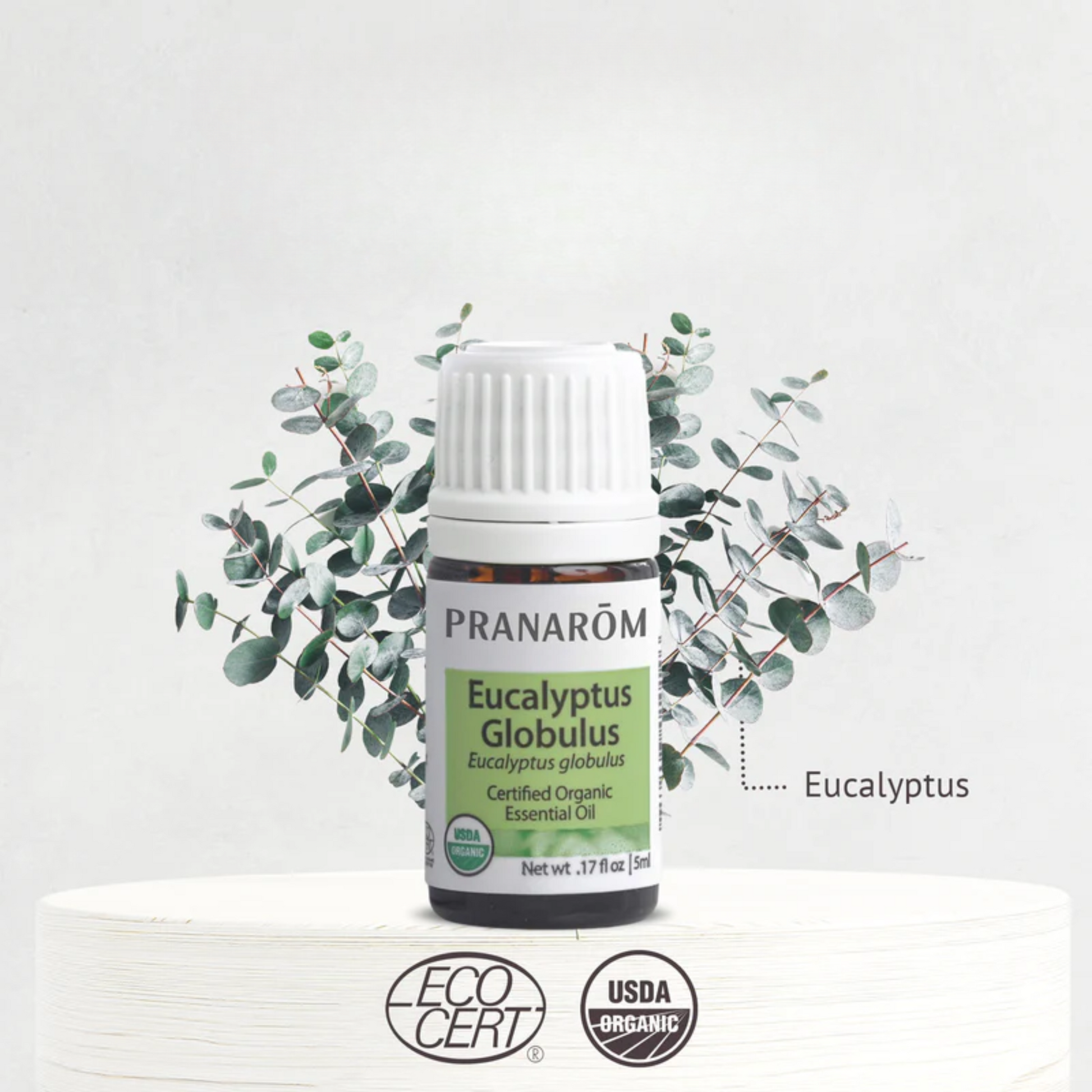 alternative image of pranarom eucalyptus globulus essential oil