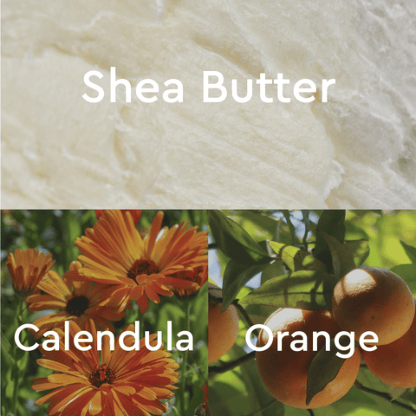 Alternate Image of Calendula & Orange Regenerating Foot Butter key ingredients