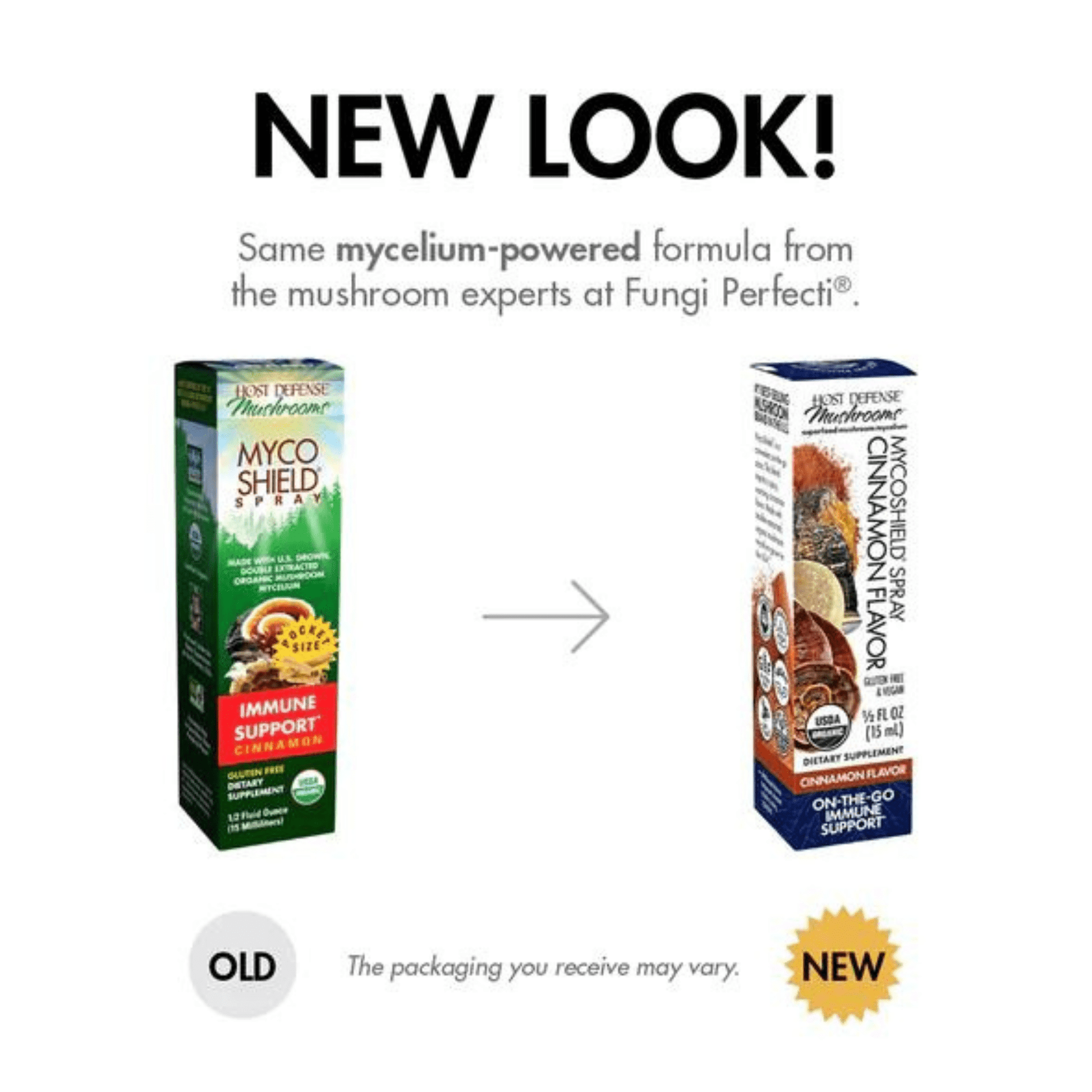 Alternate Image of MycoShield Mushroom Extract Spray - Cinnamon