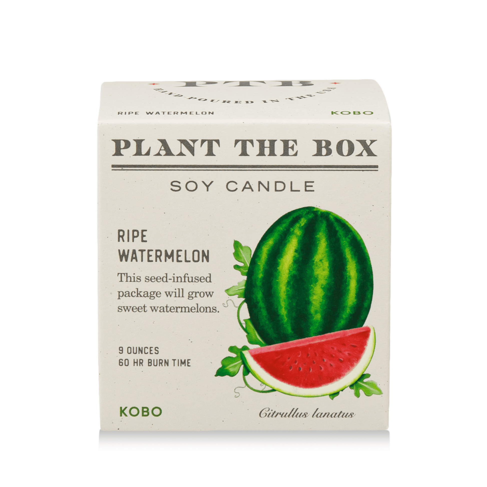 Alternate Image of Plant the Box Ripe Watermelon Candle 