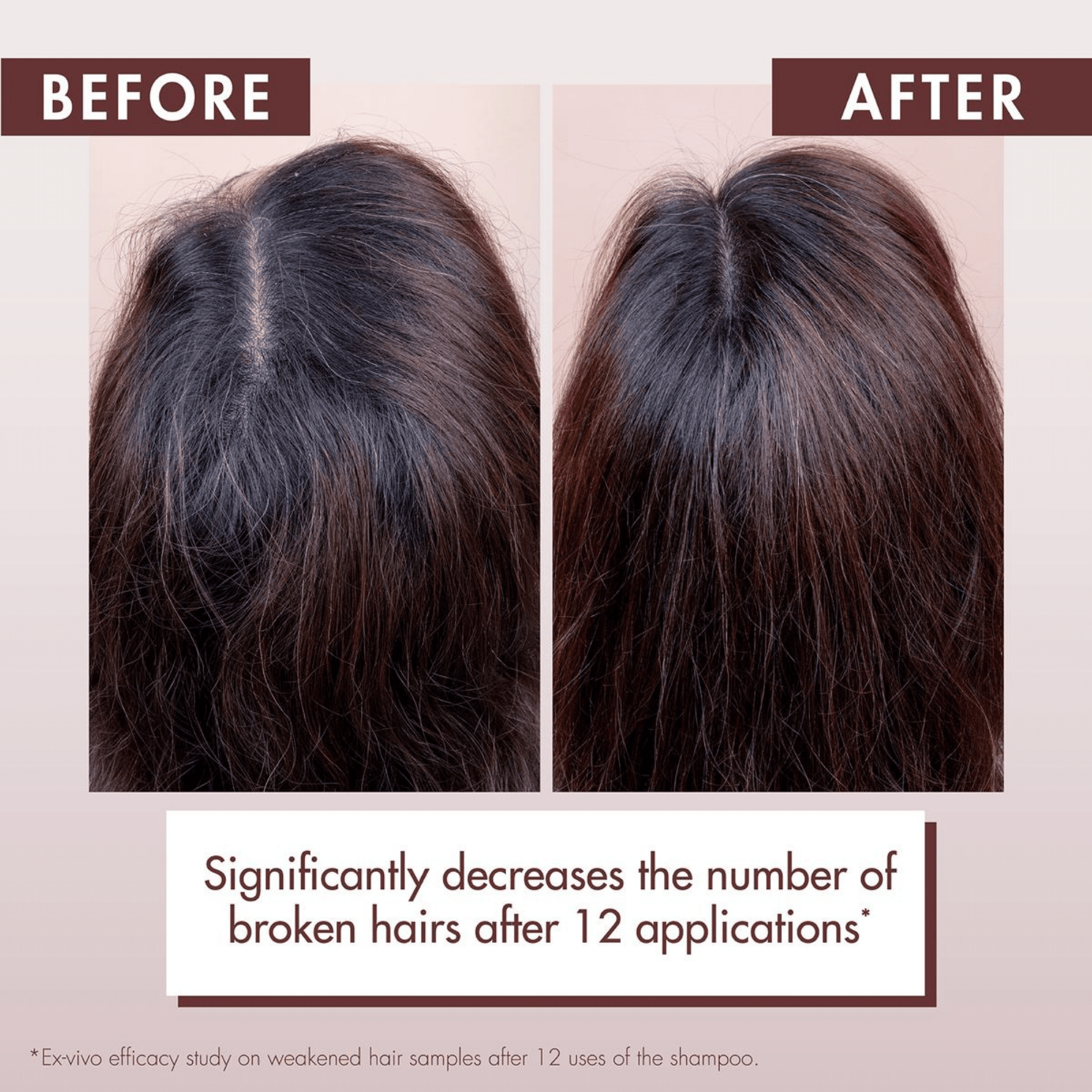 Alternate Image of Strengthening Shampoo with Quinine and Edelwiss