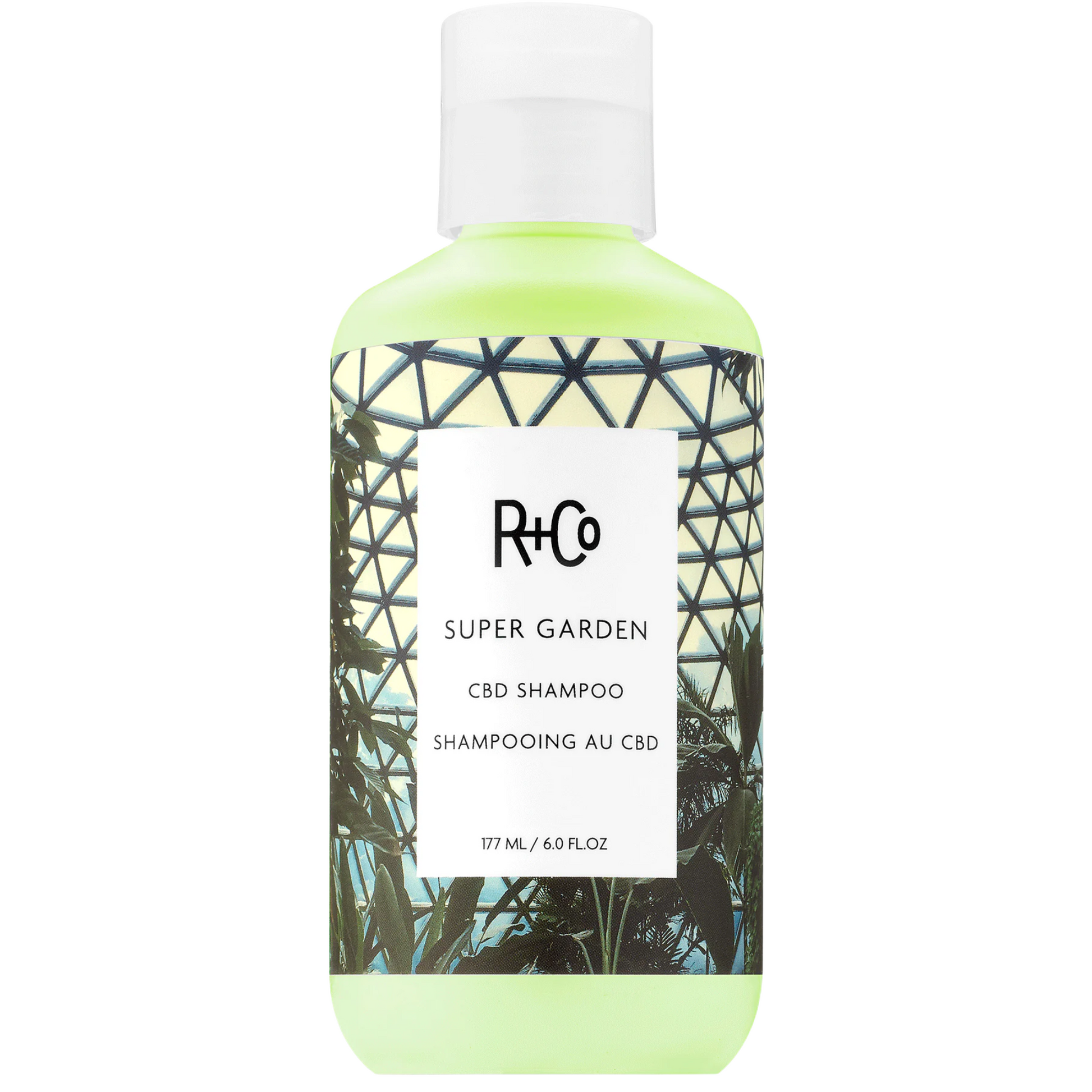 Primary Image of R+Co SUPERGARDEN CBD Shampoo (6 oz)