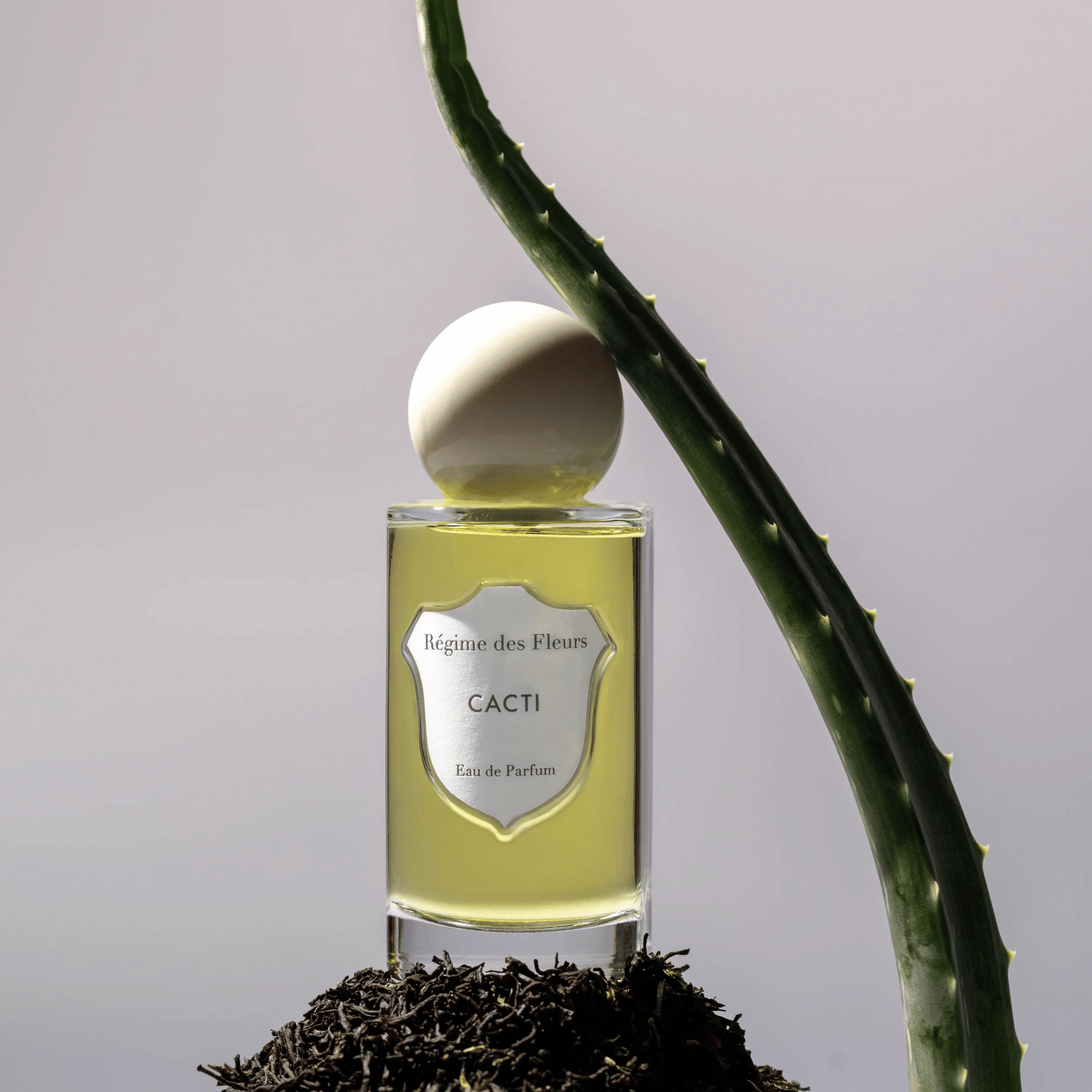 Alternate Image of Cacti EDP