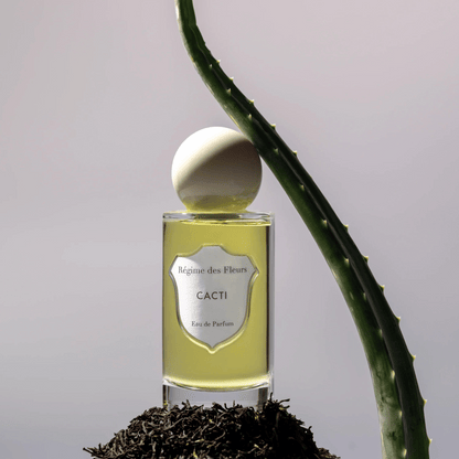Alternate Image of Cacti EDP