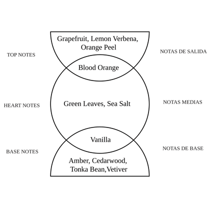 Alternate Image of Dawn Notes
