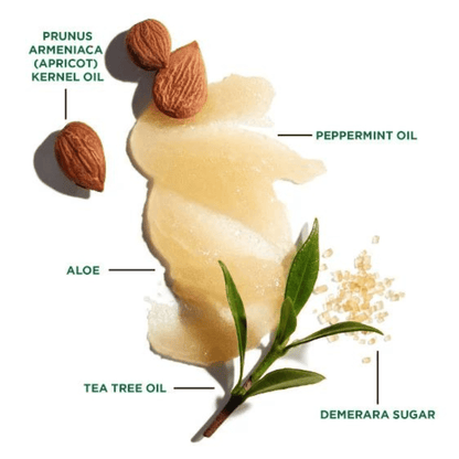 Alternate Image of Exfoliating Scalp Scrub & Shampoo