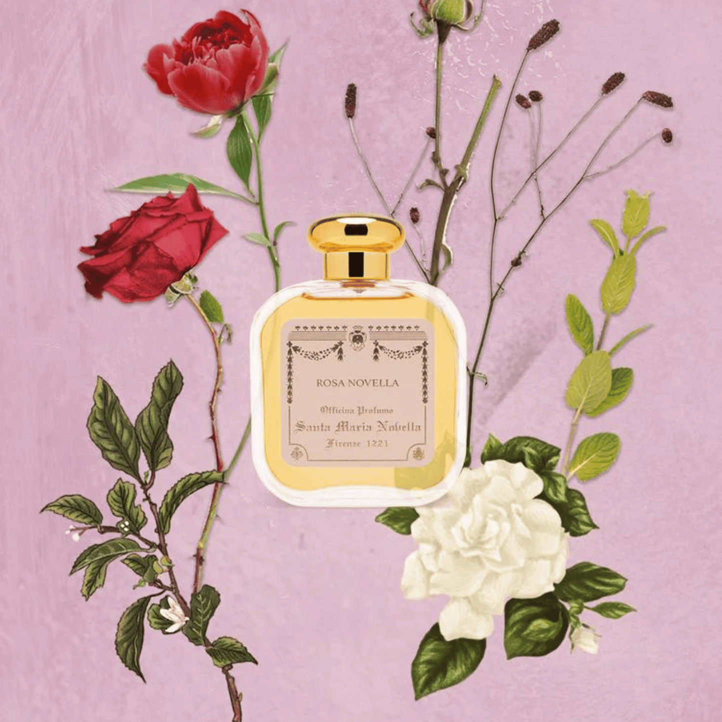 Alternate Image of Rosa Novella EDC