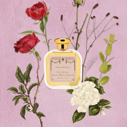 Alternate Image of Rosa Novella EDC