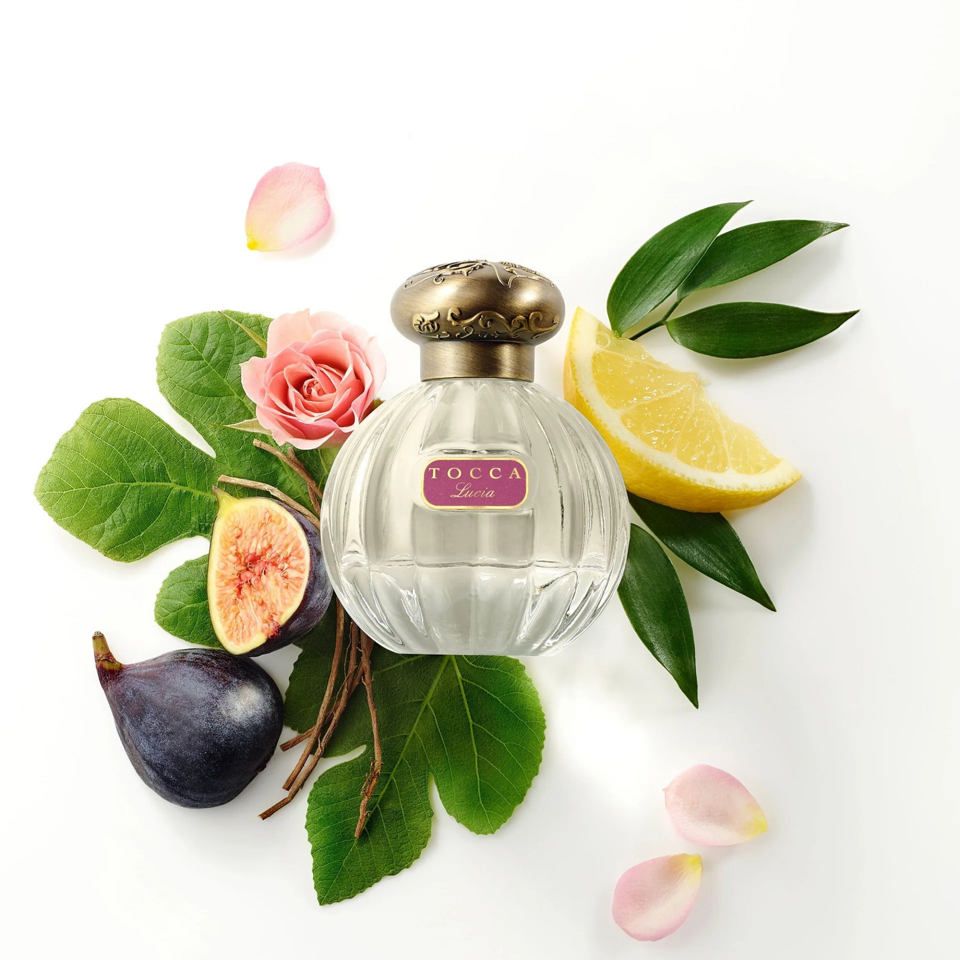 Alternate Image of Tocca Lucia 100ml EDP