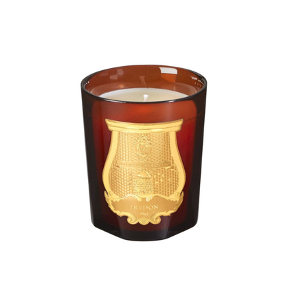 primary image of trudon cire candle