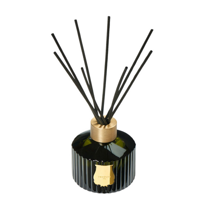primary image of trudon diffuser