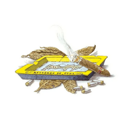 alternate image of trudon ernesto candle